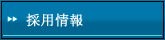 �̗p���ֈړ�
